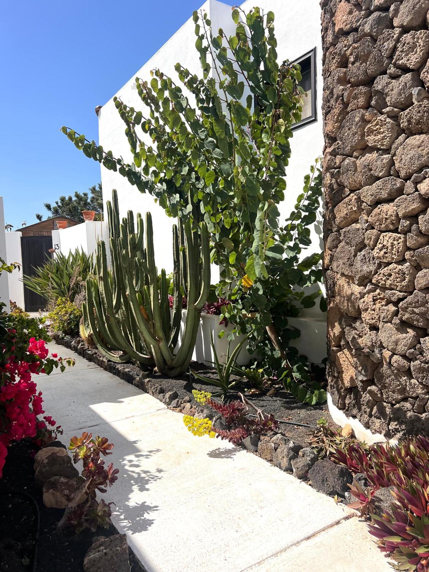 فيلا Oasis En Lanzarote كوستا تاغيسي المظهر الخارجي الصورة