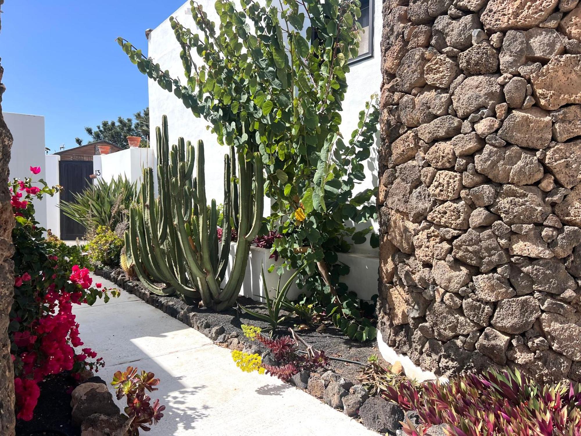 فيلا Oasis En Lanzarote كوستا تاغيسي المظهر الخارجي الصورة