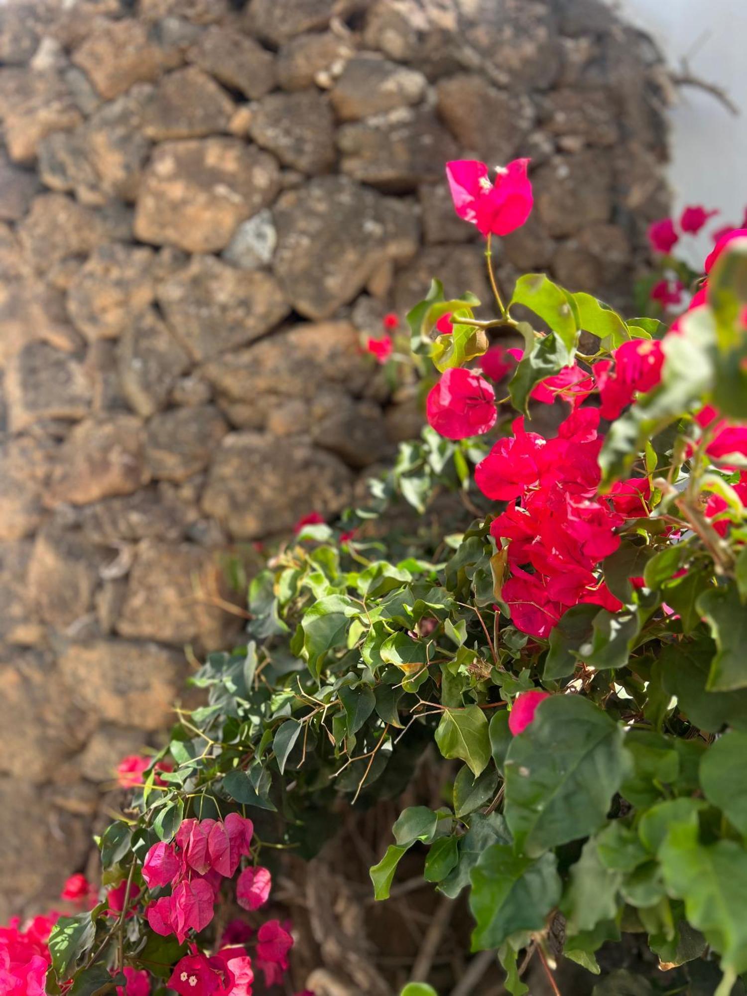 فيلا Oasis En Lanzarote كوستا تاغيسي المظهر الخارجي الصورة